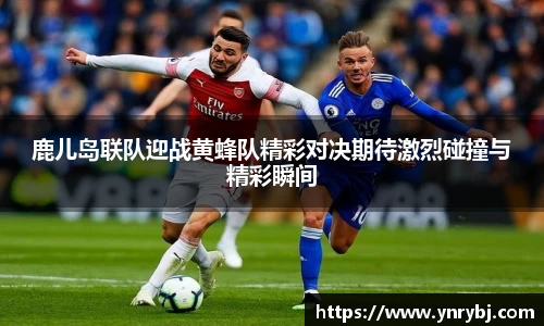 鹿儿岛联队迎战黄蜂队精彩对决期待激烈碰撞与精彩瞬间